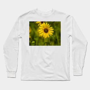 Oklahoma Plains Sunflower by Debra Martz Long Sleeve T-Shirt